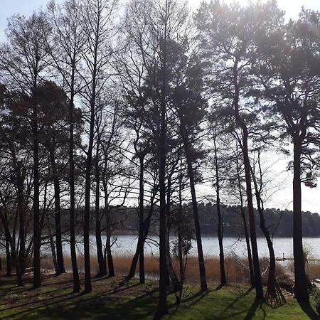 Haus Wilma Gruene Idylle Im Wald Direkt Am See Wendisch Rietz Exteriör bild