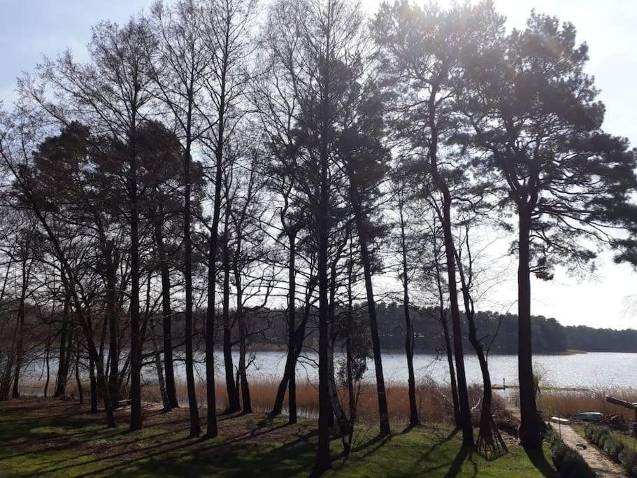 Haus Wilma Gruene Idylle Im Wald Direkt Am See Wendisch Rietz Exteriör bild