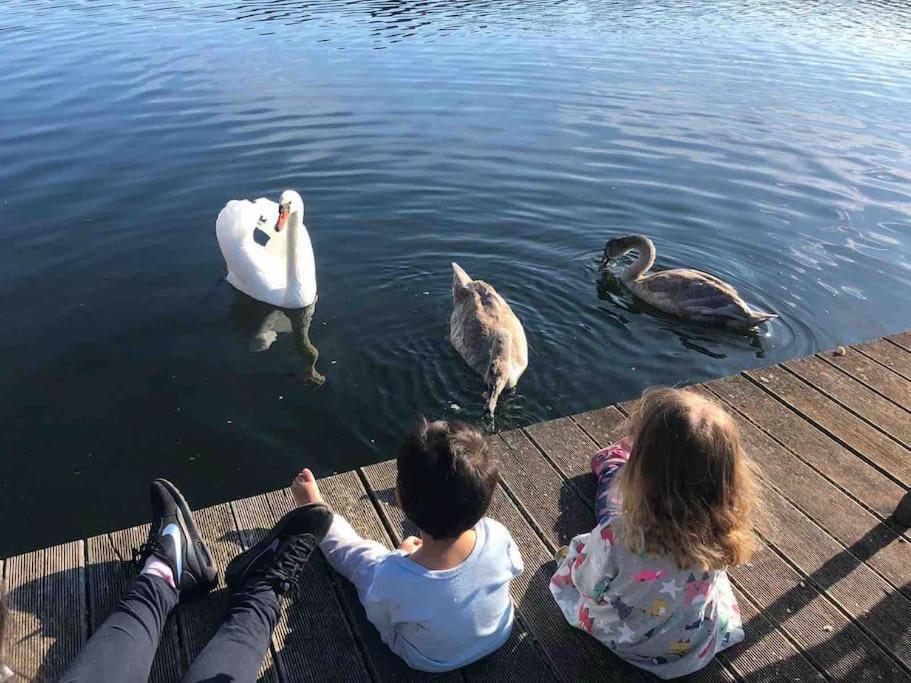 Haus Wilma Gruene Idylle Im Wald Direkt Am See Wendisch Rietz Exteriör bild
