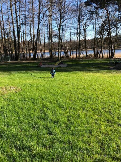 Haus Wilma Gruene Idylle Im Wald Direkt Am See Wendisch Rietz Exteriör bild
