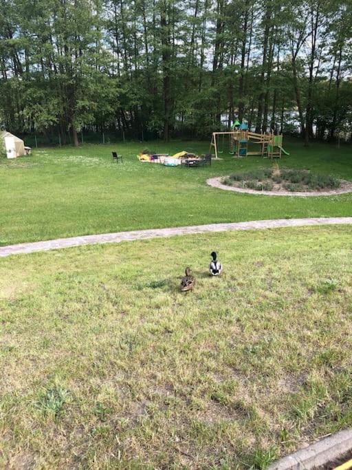 Haus Wilma Gruene Idylle Im Wald Direkt Am See Wendisch Rietz Exteriör bild