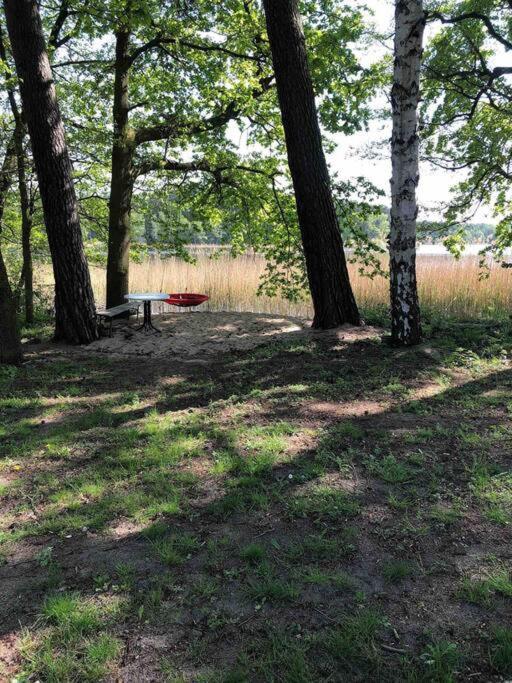 Haus Wilma Gruene Idylle Im Wald Direkt Am See Wendisch Rietz Exteriör bild